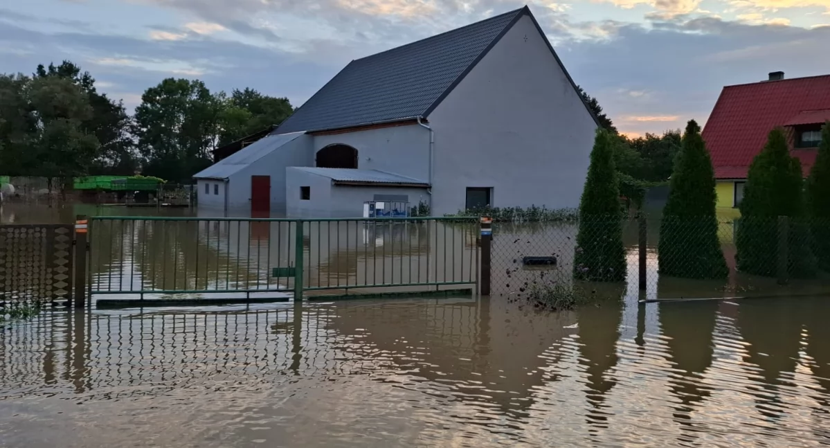 Z Kaszëb, Kaszëbi pòmòc rozmieją - zdjęcie, fotografia
