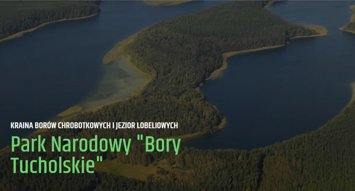 PrintScreen ze starnë https://pnbt.gov.pl/