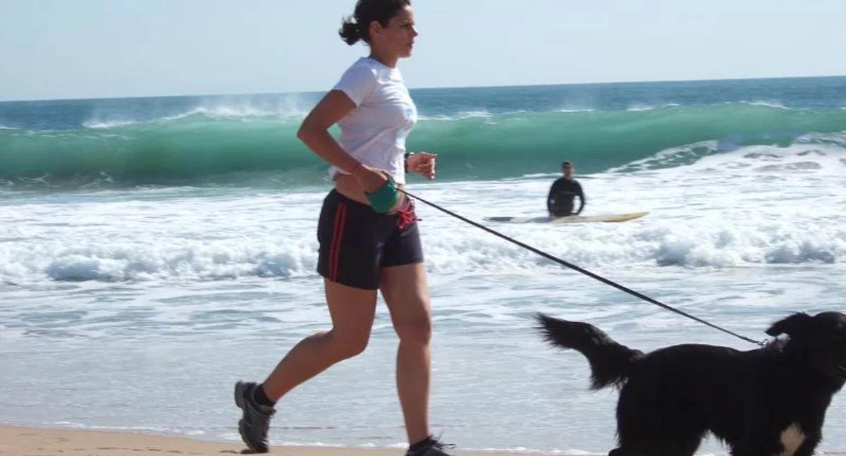 https://pl.wikipedia.org/wiki/Jogging#/media/Plik:Jogging_with_dog_at_Carcavelos_Beach.jpg; ceiling - originally posted to Flickr