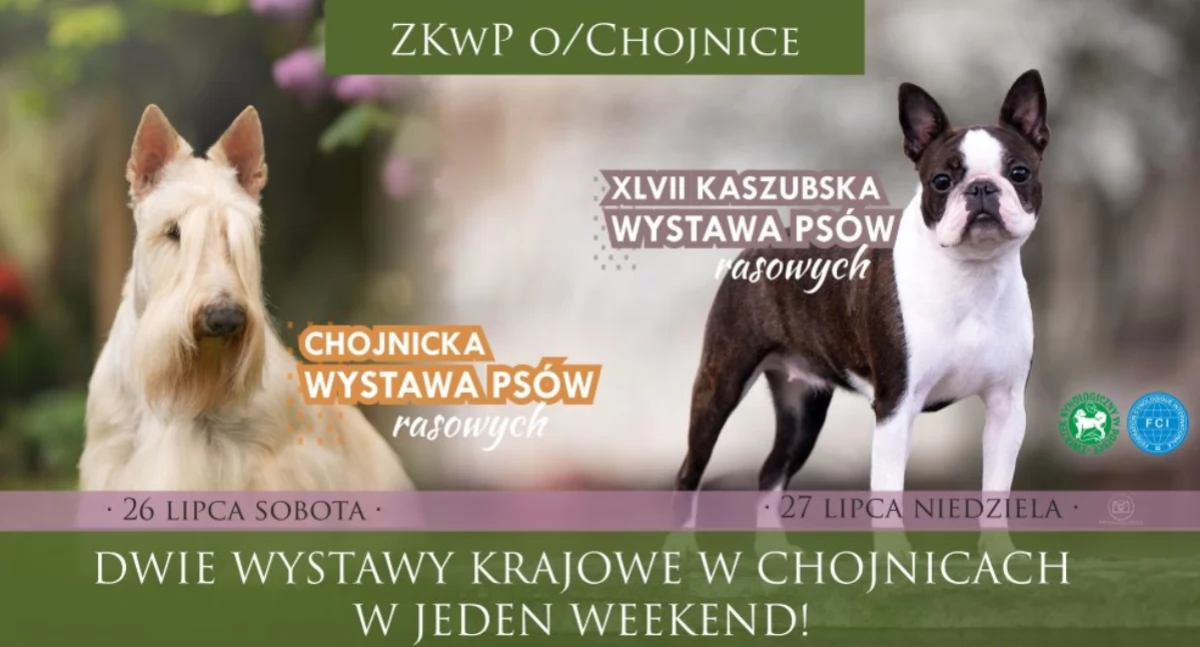 Z Kaszëb, Tósze rządzëłë Parkù Tësąclatégò Chònicach - zdjęcie, fotografia