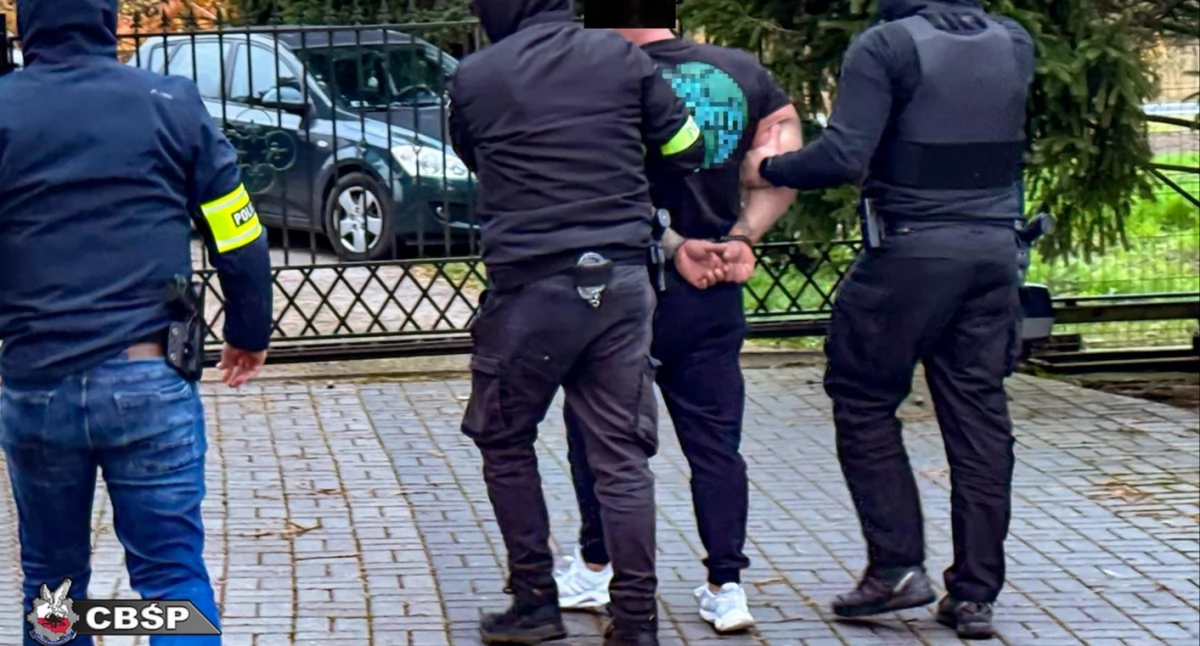 Òdj. https://cbsp.policja.pl/