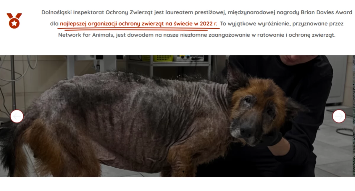 Print sreen ze starnë: https://dioz.pl/