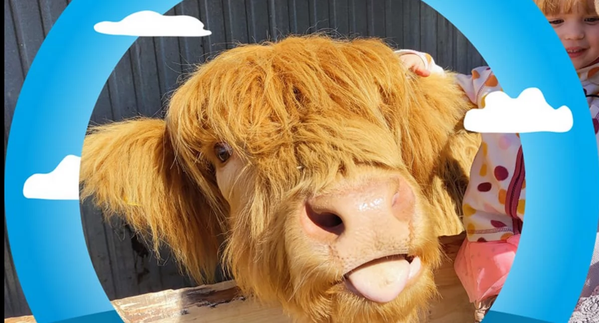 Òdj. z facebookòwi starnë rancza 