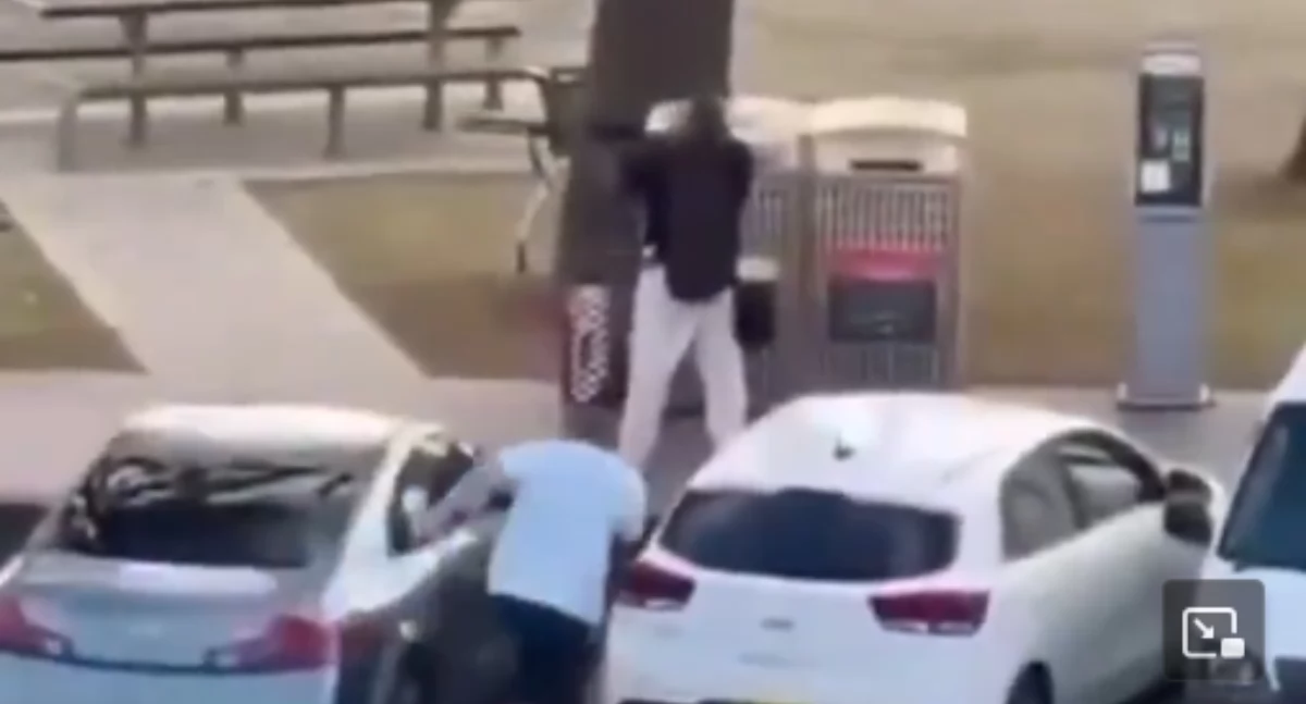 Ze swiata, Strzélinga chanuce Sydney - zdjęcie, fotografia