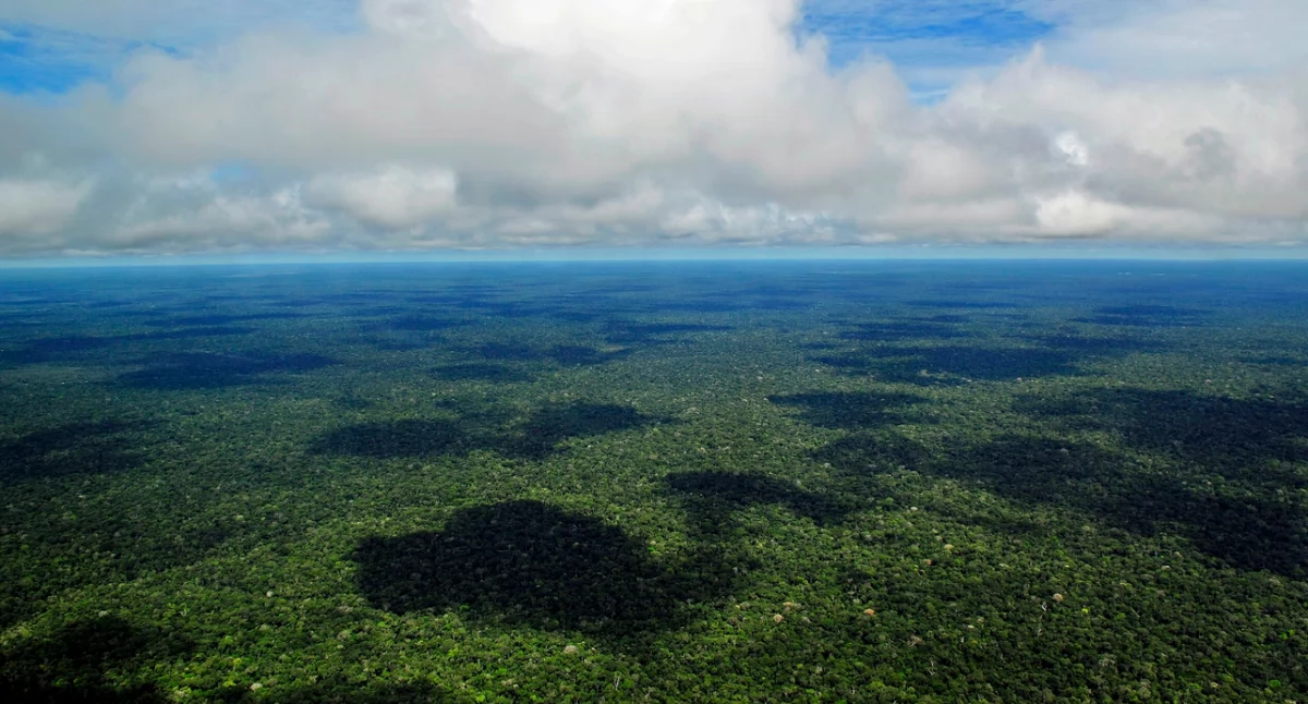 Amazoniô. Òdj. Neil Palmer/CIAT - Flickr; zdrzódło: https://pl.wikipedia.org/wiki/Amazonia#/media/Plik:Amazon_CIAT_(5).jpg