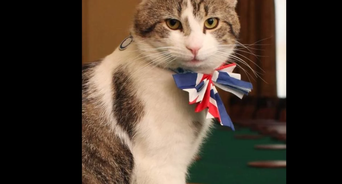 Òdj. https://assets.digital.cabinet-office.gov.uk/government/assets/history/buildings/larry-the-cat-a47549e08bdbc6cd0e3e042eea943f65b7a4590d95642586e51acb44bb2dcea2.jpg