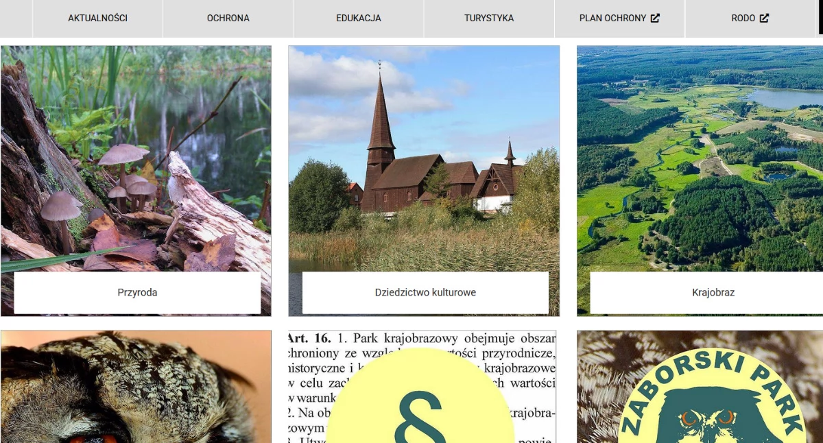 Print screen ze starnë: https://zaborskipark.pl/