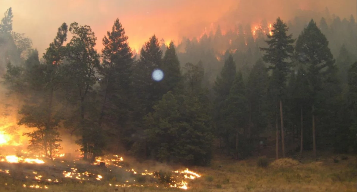 Pòzdrzatkòwi òdjimk. US Forest Service photo - http://inciweb.org/incident/pictures/full/978/3/; zdrzódło: https://pl.wikipedia.org/wiki/Po%C5%BCary_las%C3%B3w#/media/Plik:Moonlight_fire_usfs.jpg