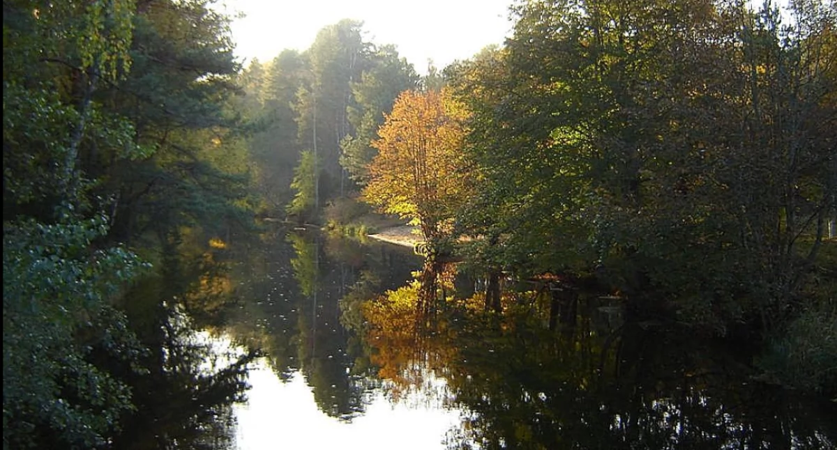 Karnôł w òkòlim Fòjutowa. Òdj. Brogaj; zdrzódło: https://pl.wikipedia.org/wiki/Wielki_Kana%C5%82_Brdy#/media/Plik:Kana%C5%82_w_Fojutowie.JPG