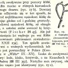Fotka nr 2 z 10
