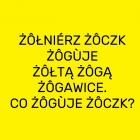 zdjęcie nr 12