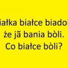 Fotka nr 0 z 12