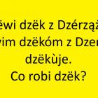 Fotka nr 3 z 12