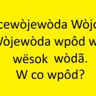 zdjęcie nr 11