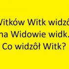 zdjęcie nr 12