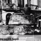Fotka nr 3 z 5