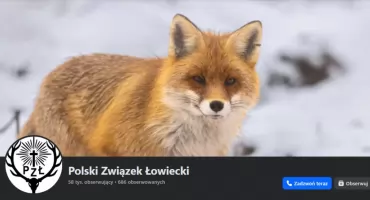 Jachtarze diskùtérowelë we Gduńskù