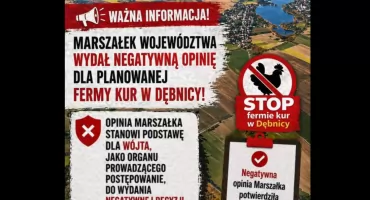 Marszôłk procëm chòwie kwëkù w Dãbnicë