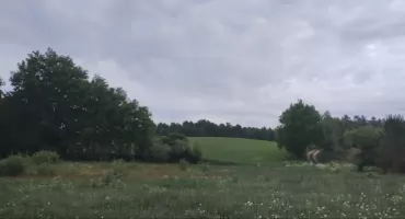 Przëbôczą miastowim, że na wsach sã gbùrzi