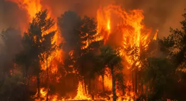 Trzech Serbów i Pòlôszka pòdpôlelë lasë